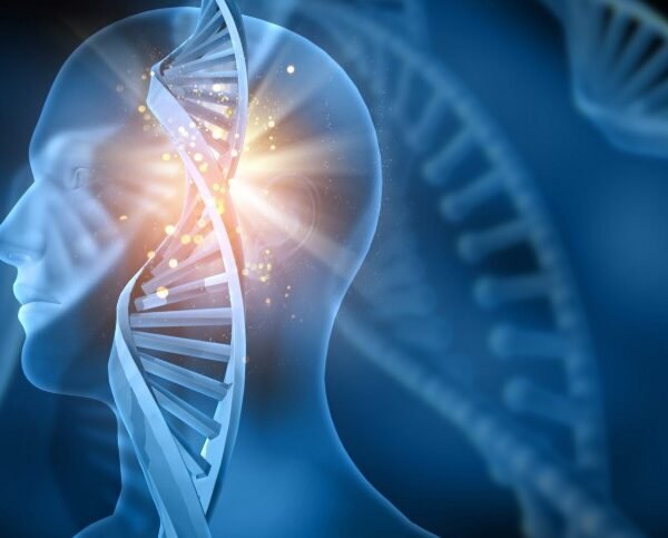 Best Neurologist in India for Brain, Spine & Nerve Disorders